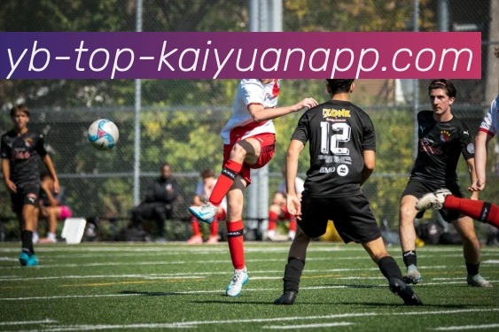 开元体育平台生态图